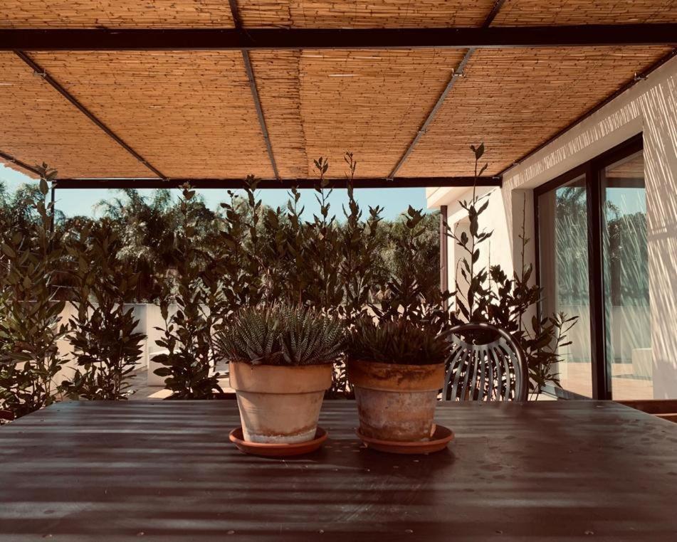 Petrasicula Apartment Aci Trezza Esterno foto